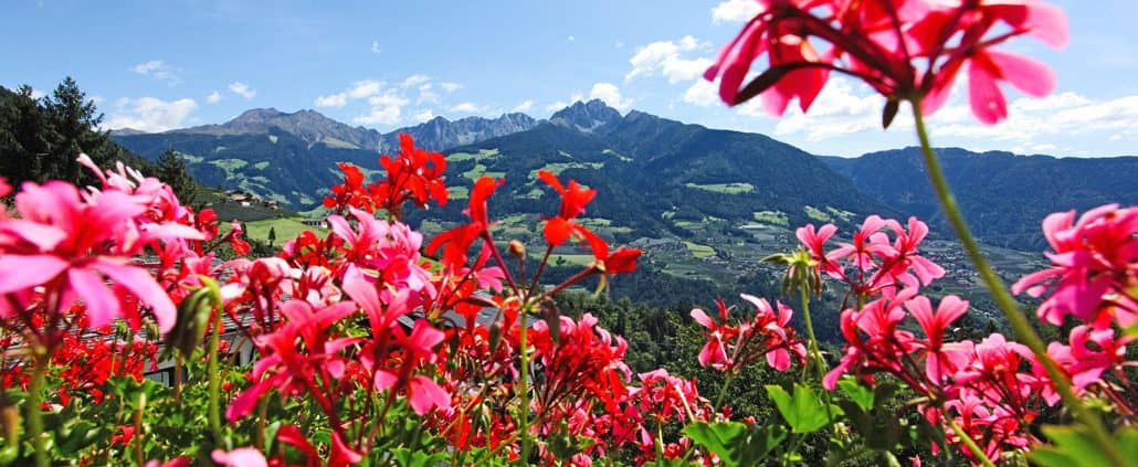 Neue Homepage Hotel Restaurant Tiroler Kreuz Dorf Tirol