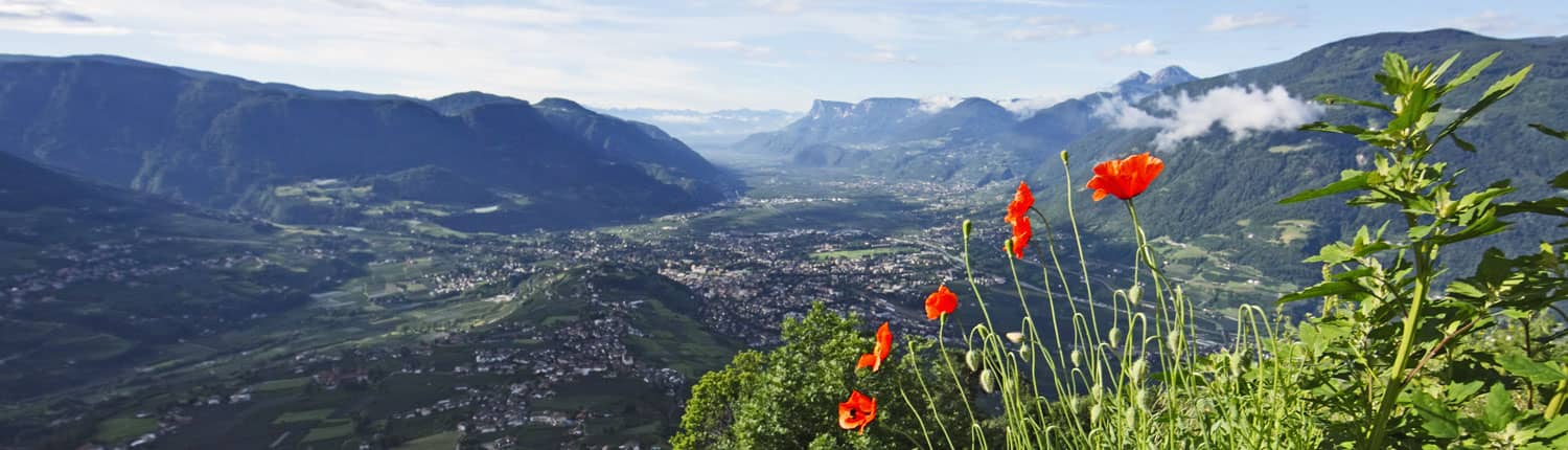 Vacanze attive Tirolo Merano dintorni